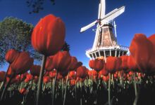 Olanda