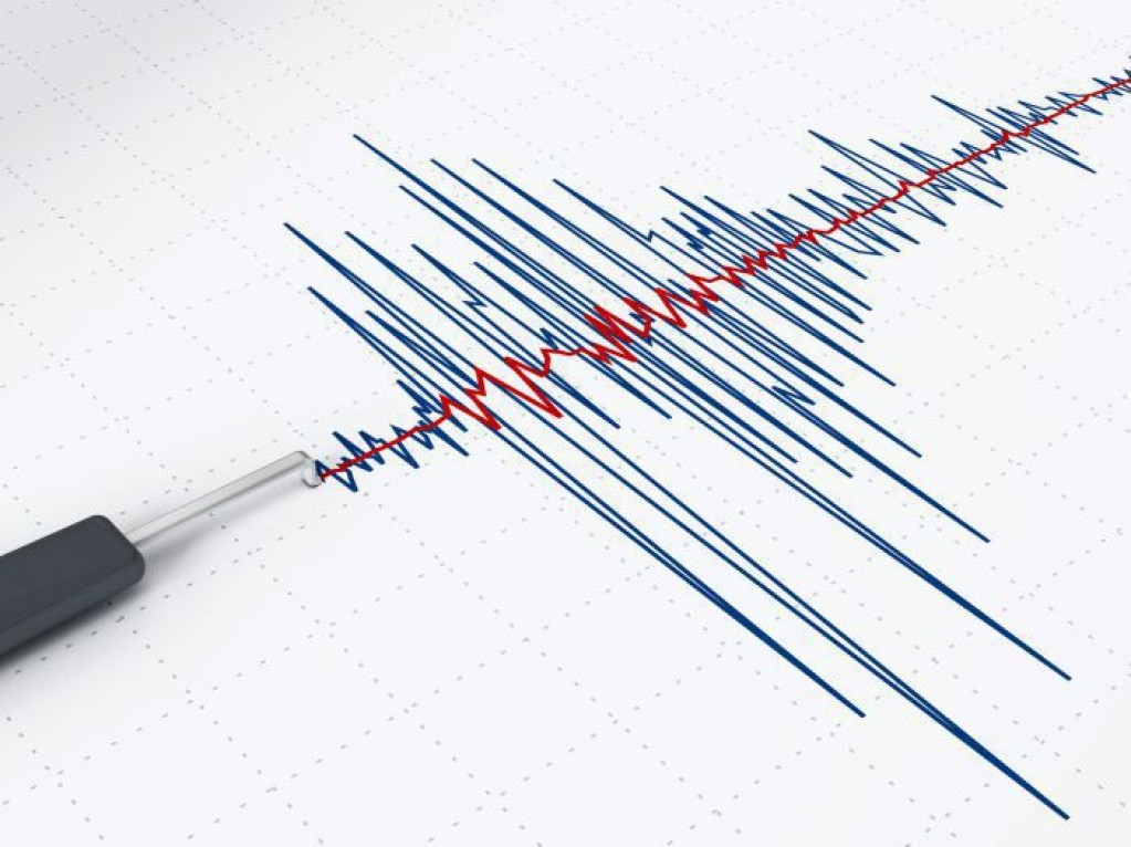 Cutremur cu magnitudinea 4,3, produs in Vrancea