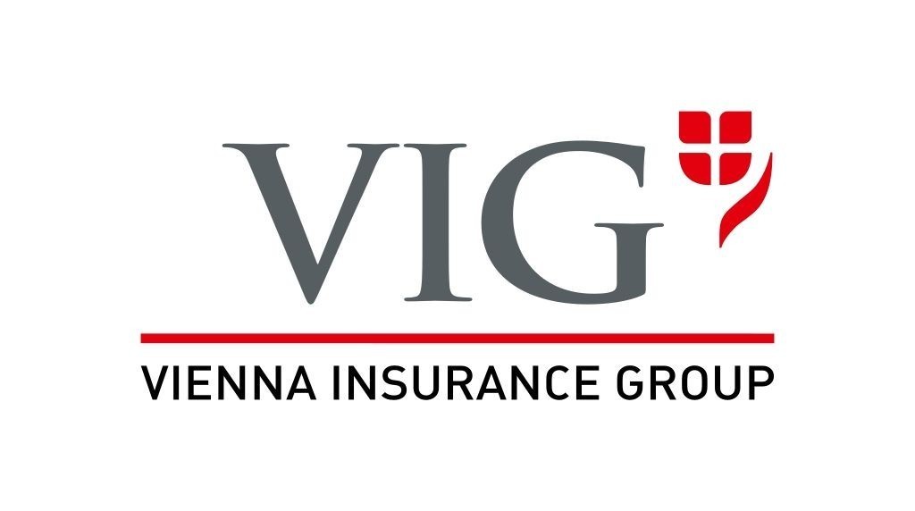 VIG achizitioneaza 25% din Dolphin ...