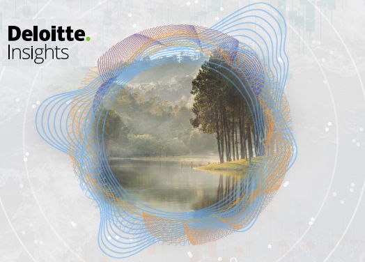 Studiu DELOITTE: profitabilitatea ...